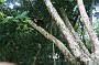 P_2007-12-20 15-36-39_1223